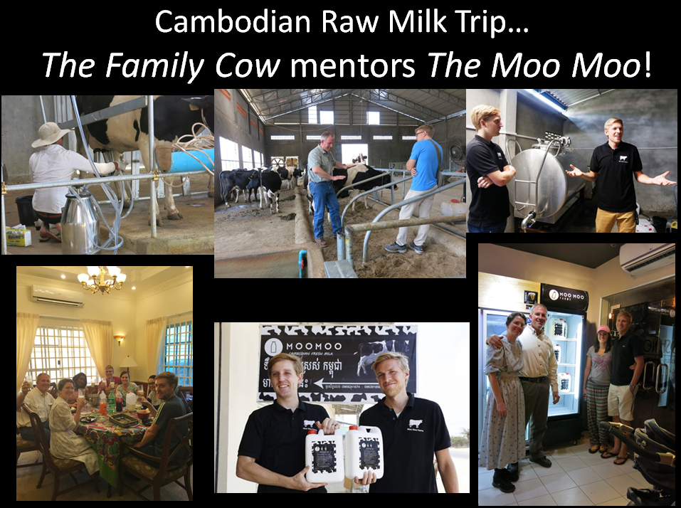Cambodia Raw Milk Trip
