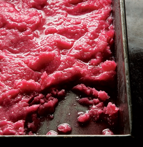 Rhubarb Granita