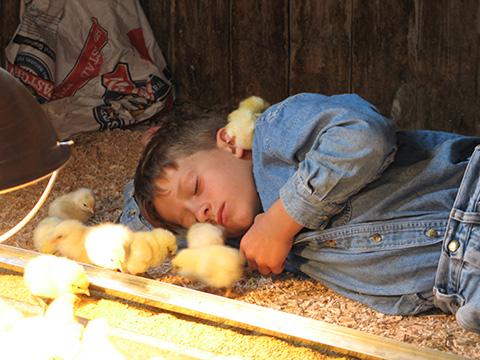 boy with baby peeps